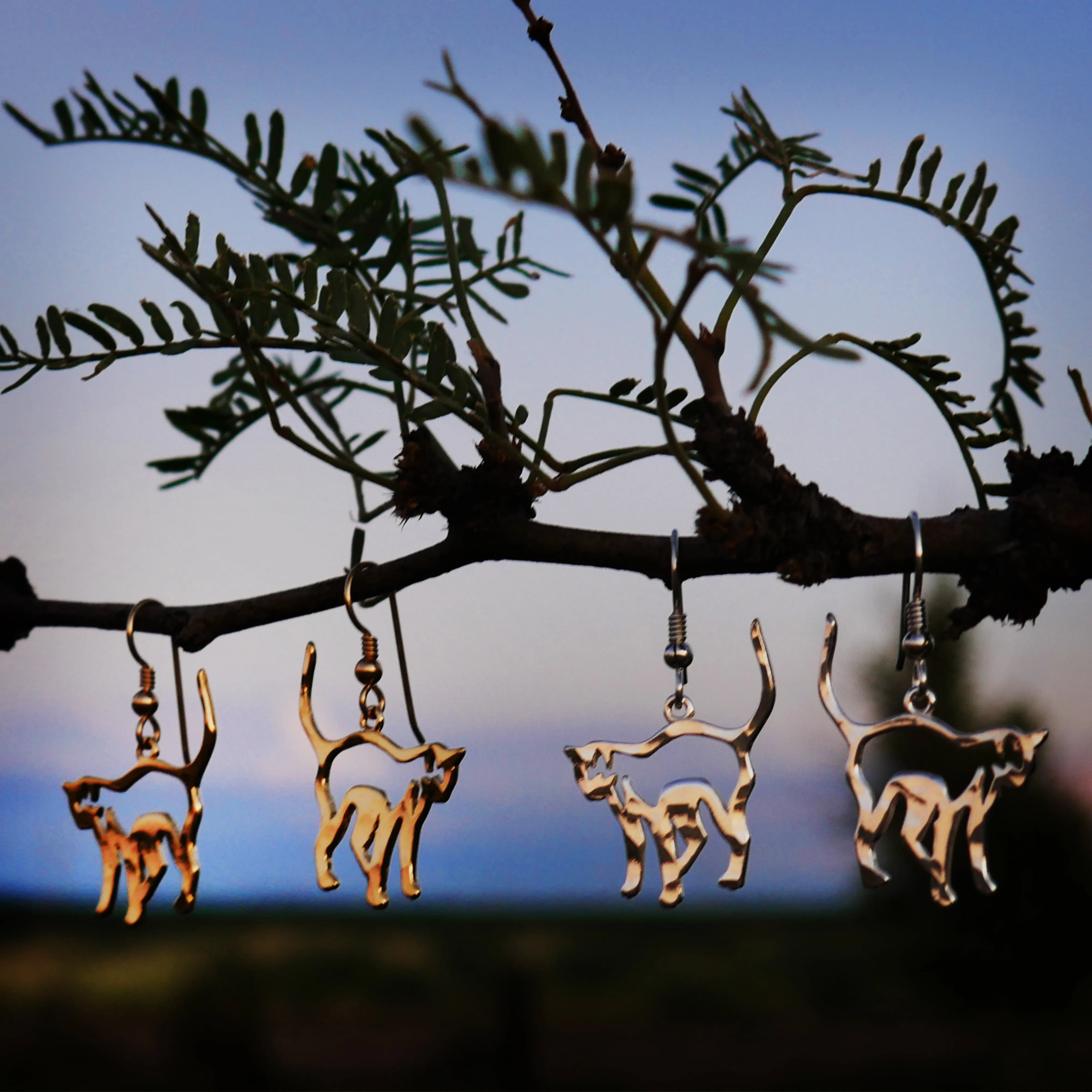 Scaredy Cat Earrings